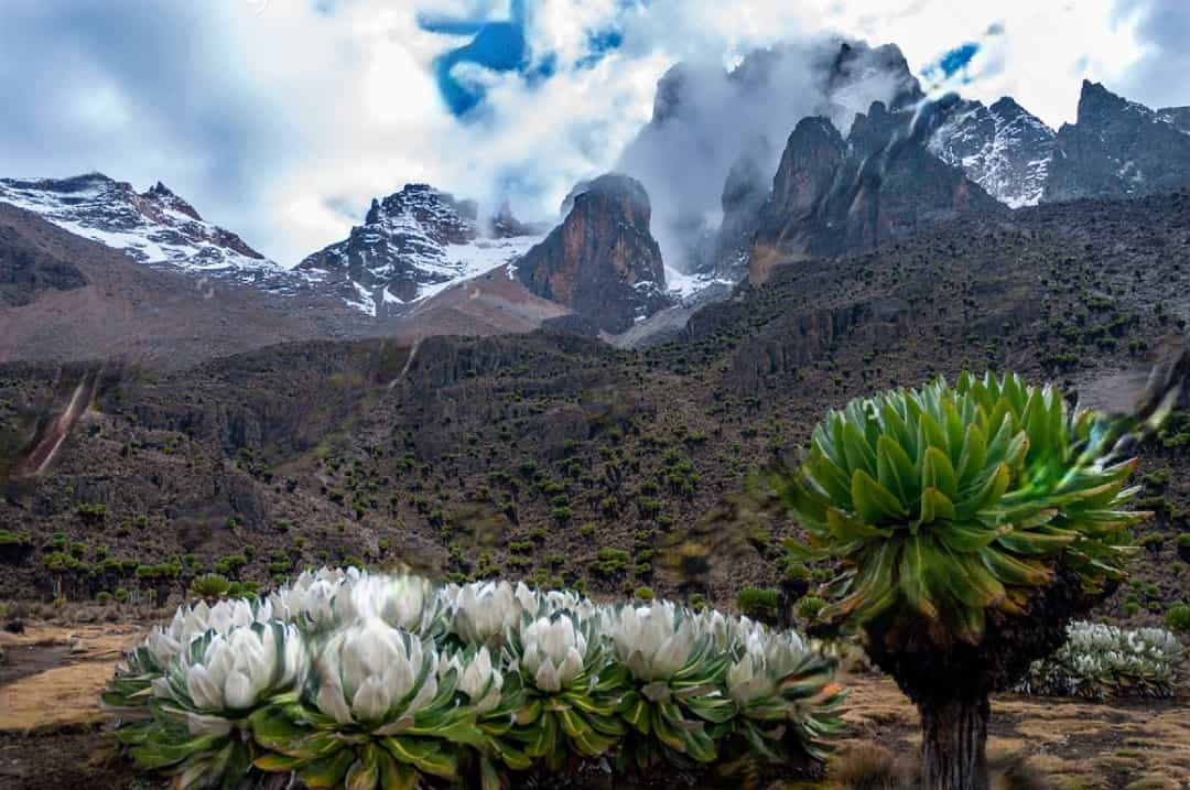 mount-kenya